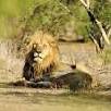 Foto 04 - Africa 