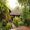 Foto 01 - Africa 