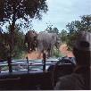Foto 04 - Africa 