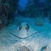 Foto 03 - Caraibi 