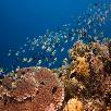 Foto 06 - Indonesia 