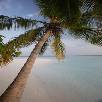 Foto 04 - Maldive Crociere 