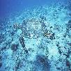 Foto 06 - Maldive Crociere 