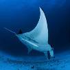 Foto 05 - Maldive Crociere 