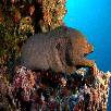 Foto 06 - Maldive Crociere 