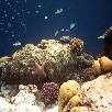 Foto 06 - Maldive Resort 