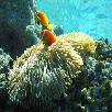Foto 04 - Maldive Resort 