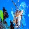 Foto 06 - Maldive Resort 